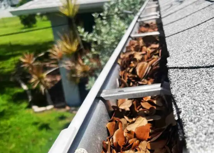 Taylors gutter cleaning home page